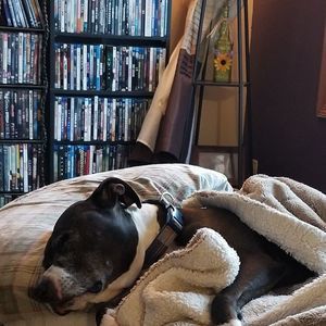 Meet your Posher, Jason